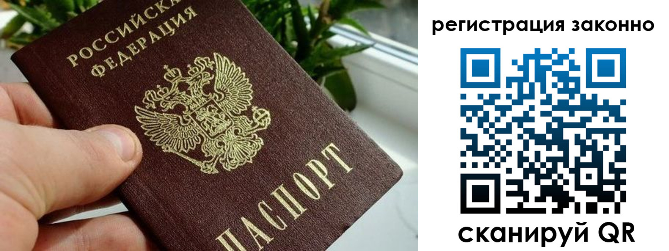 прописка гарантия в Курганинске